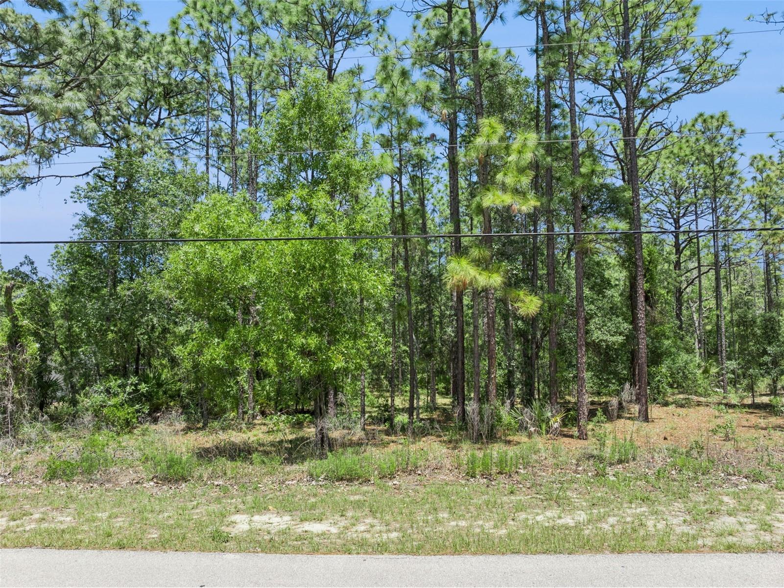 1797 W Union Street Hernando FL 34442 O6402482 image1