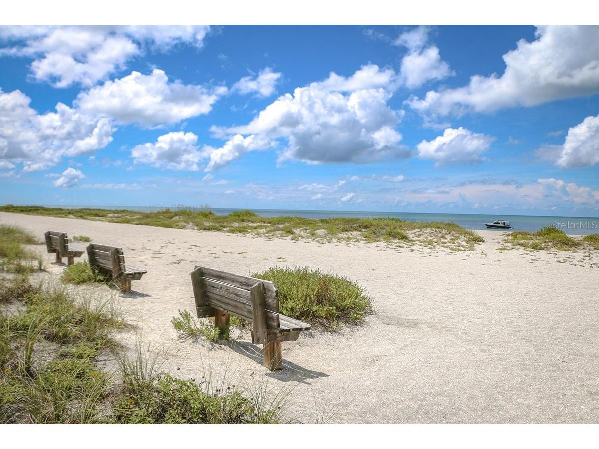 17972 Foxtail Loop Venice FL 34293 TB8461783 image20