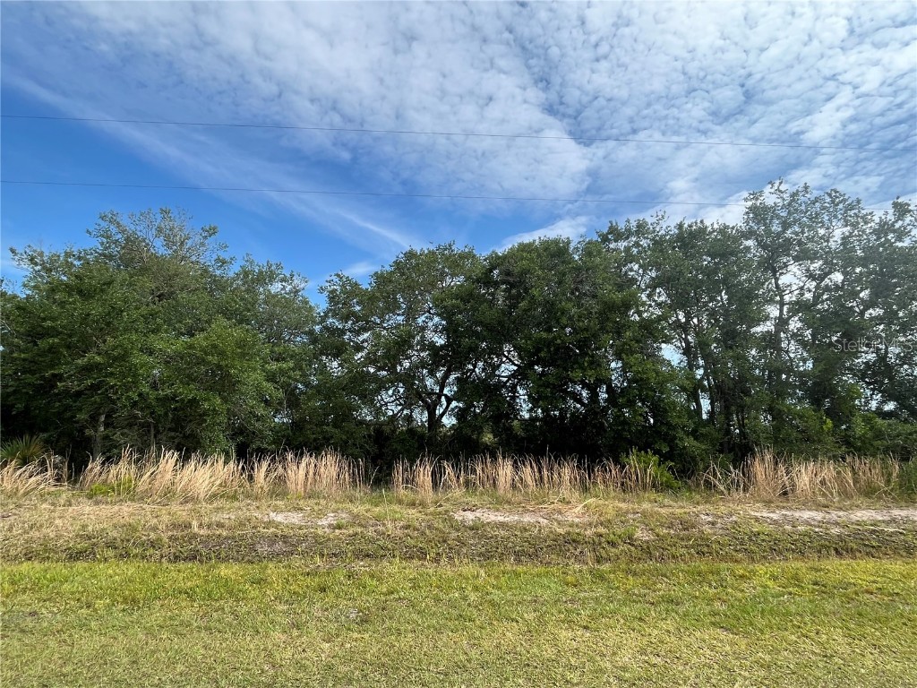 17973 NW 296th Street Okeechobee FL 34972 OK224030 image1