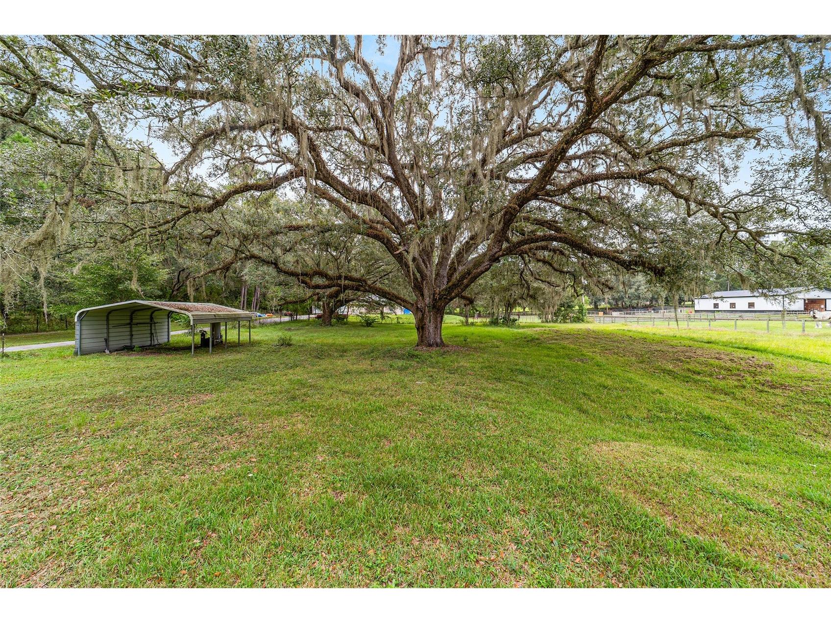 17975 NW 160th Avenue Williston FL 32696 O6414906 image70