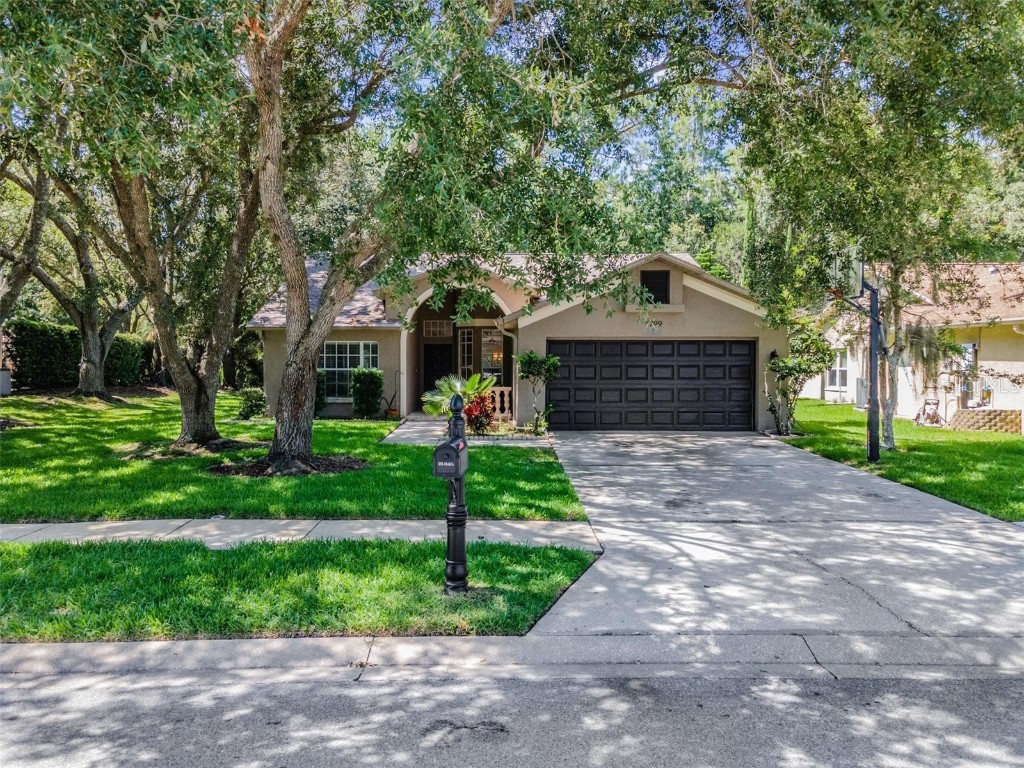 1799 Bayhill Drive Oldsmar FL 34677 T3541273 image1