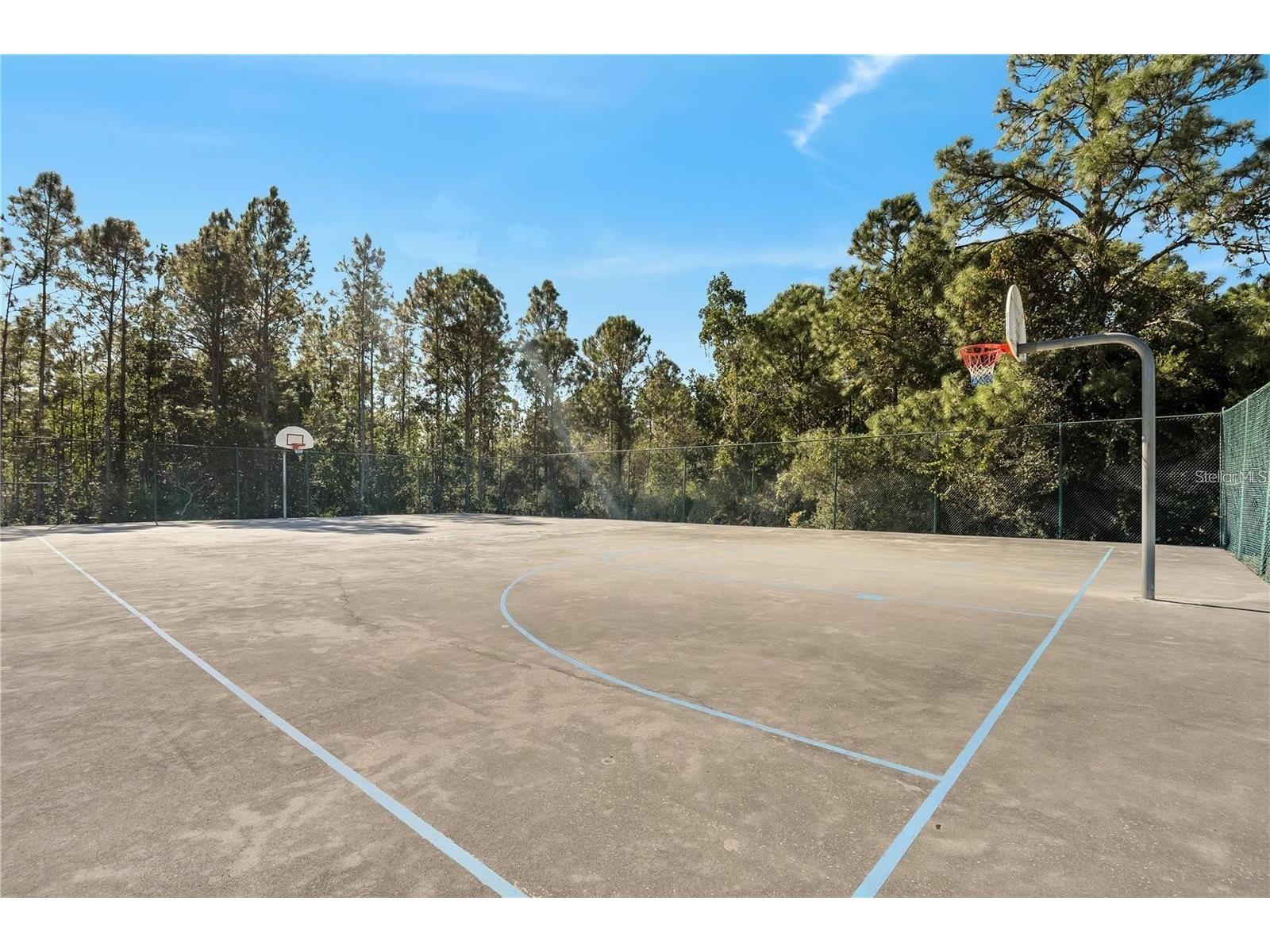 1799 Coriander Drive #1799 Kissimmee FL 34759 S5153394 image26