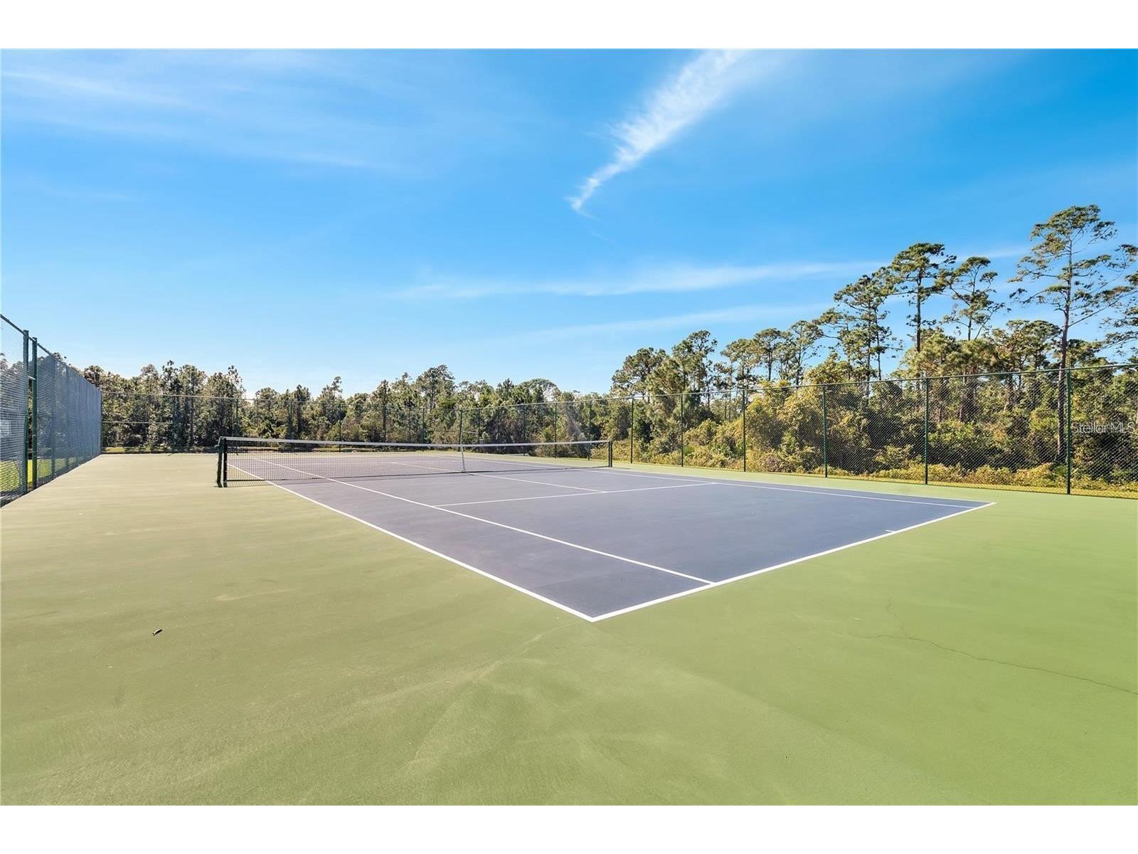 1799 Coriander Drive #1799 Kissimmee FL 34759 S5153394 image29