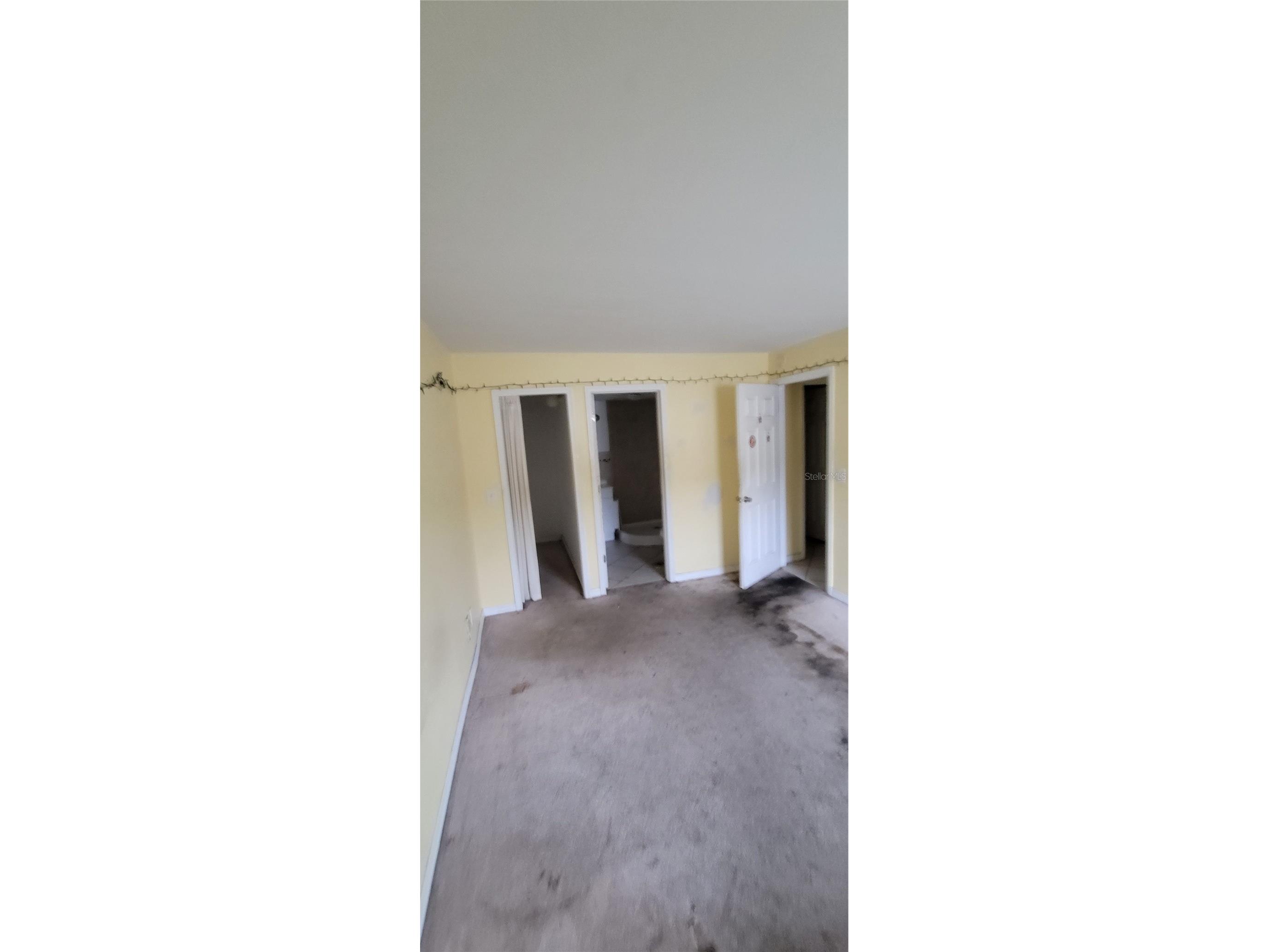1799 N Highland Avenue #155 Clearwater FL 33755 TB8487393 image12