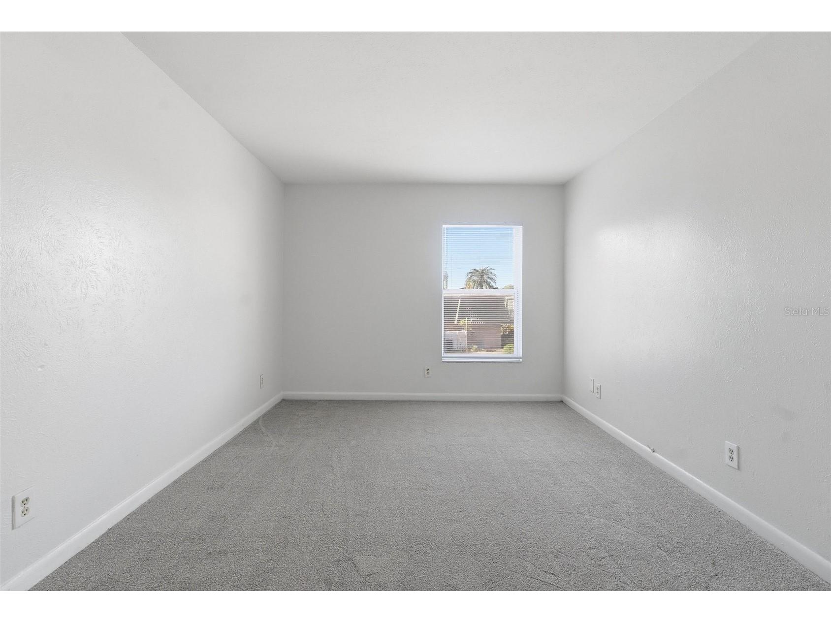 1799 N Highland Avenue #168 Clearwater FL 33755 TB8474656 image12