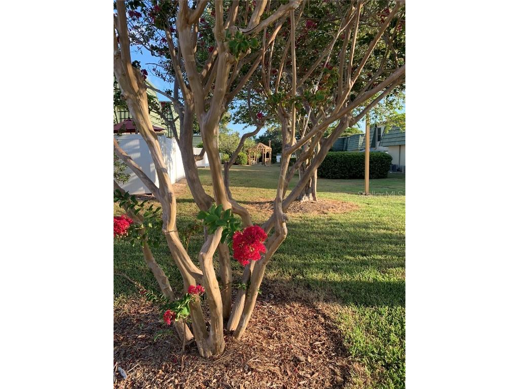 1799 N Highland Avenue #170 Clearwater FL 33755 TB8380932 image12