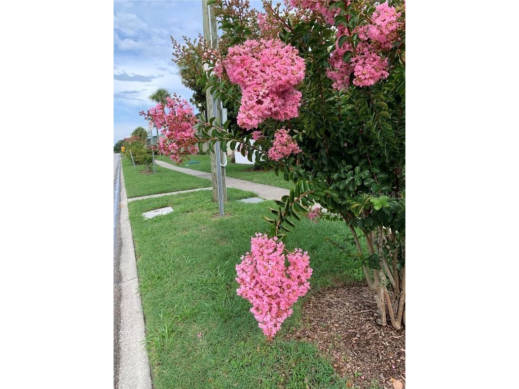 1799 N Highland Avenue #170 Clearwater FL 33755 TB8380932 image13