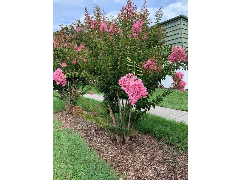 1799 N Highland Avenue #170 Clearwater FL 33755 TB8380932 image14