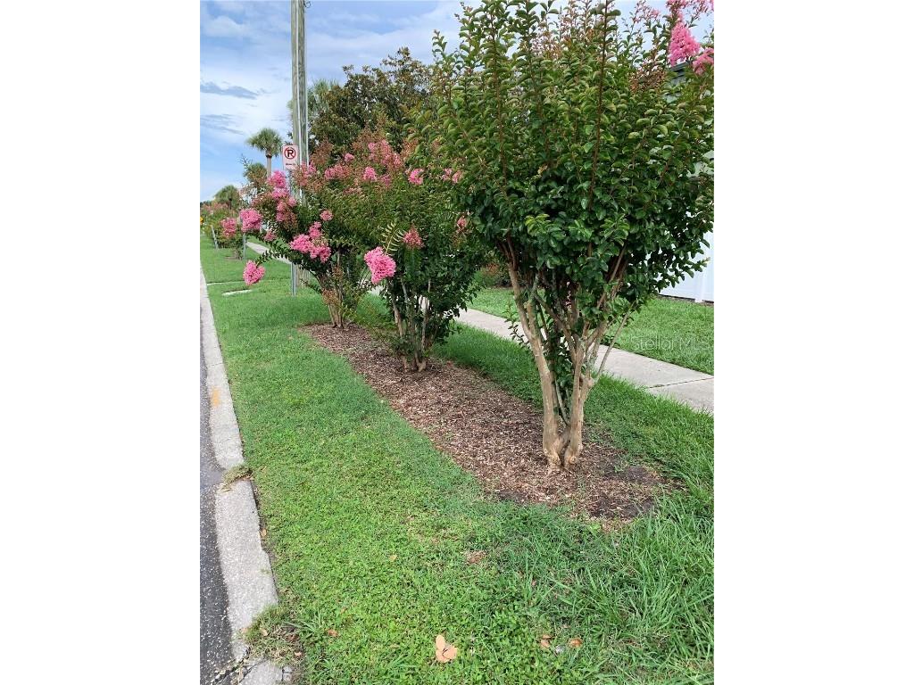 1799 N Highland Avenue #170 Clearwater FL 33755 TB8380932 image15