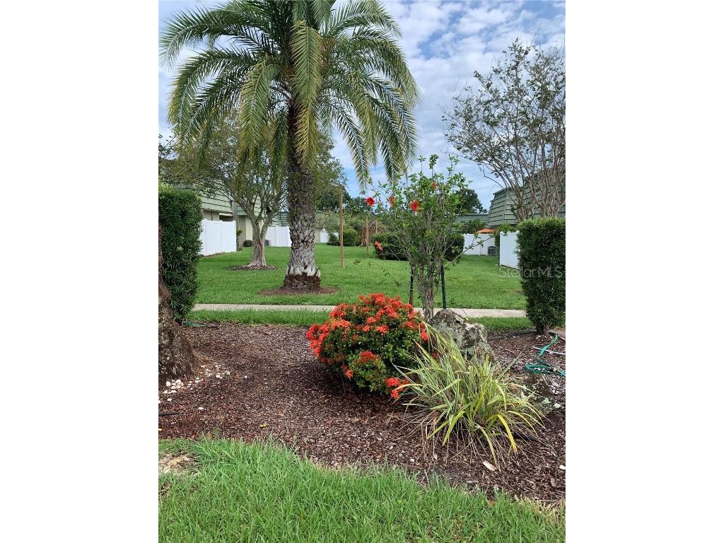 1799 N Highland Avenue #170 Clearwater FL 33755 TB8380932 image16