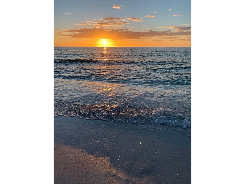 1799 N Highland Avenue #170 Clearwater FL 33755 TB8380932 image21