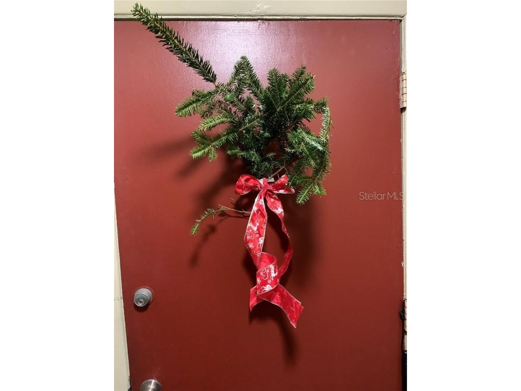 1799 N Highland Avenue #170 Clearwater FL 33755 TB8380932 image3