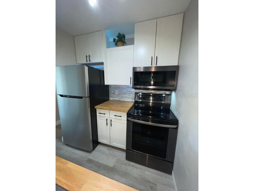 1799 N Highland Avenue #172 Clearwater FL 33755 W7878620 image10