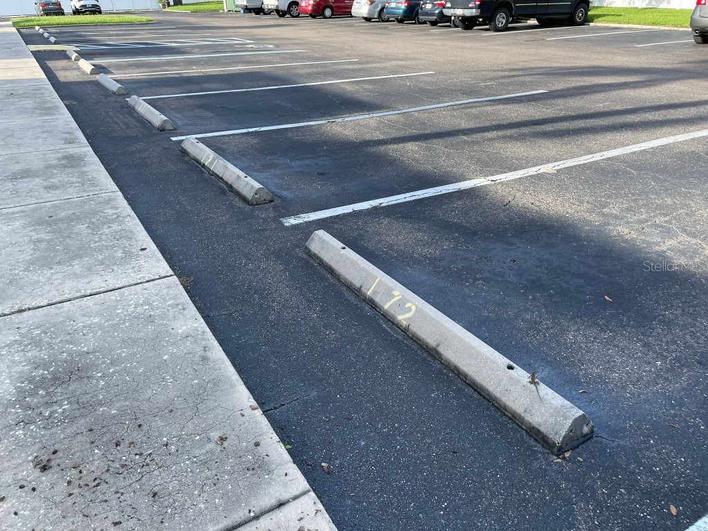 1799 N Highland Avenue #172 Clearwater FL 33755 W7878620 image29