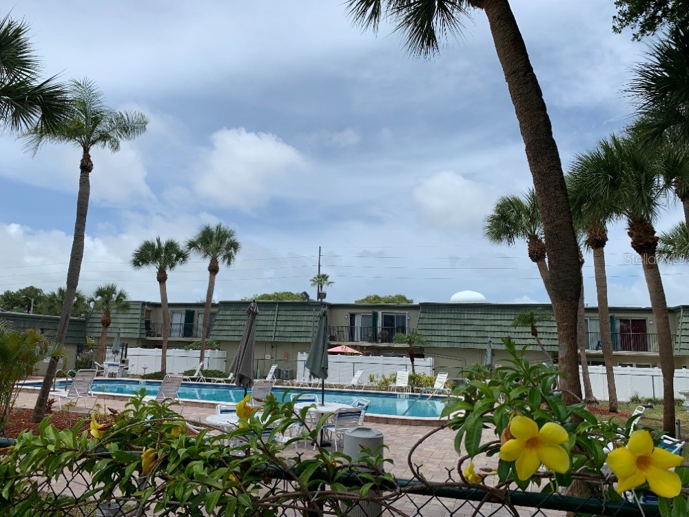 1799 N Highland Avenue #3 Clearwater FL 33755 TB8514931 image17
