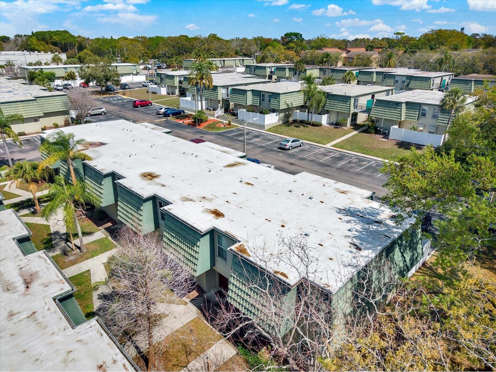 1799 N Highland Avenue #53 Clearwater FL 33755 W7883714 image24