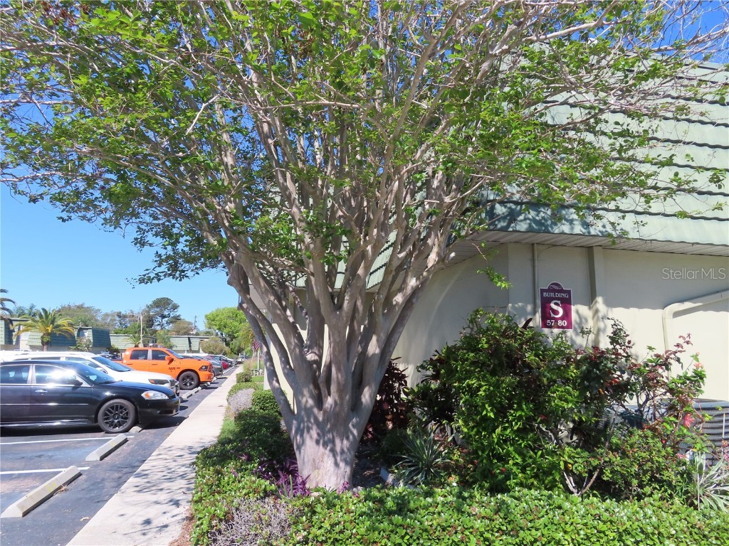 1799 N Highland Avenue #59 Clearwater FL 33755 U8236777 image1