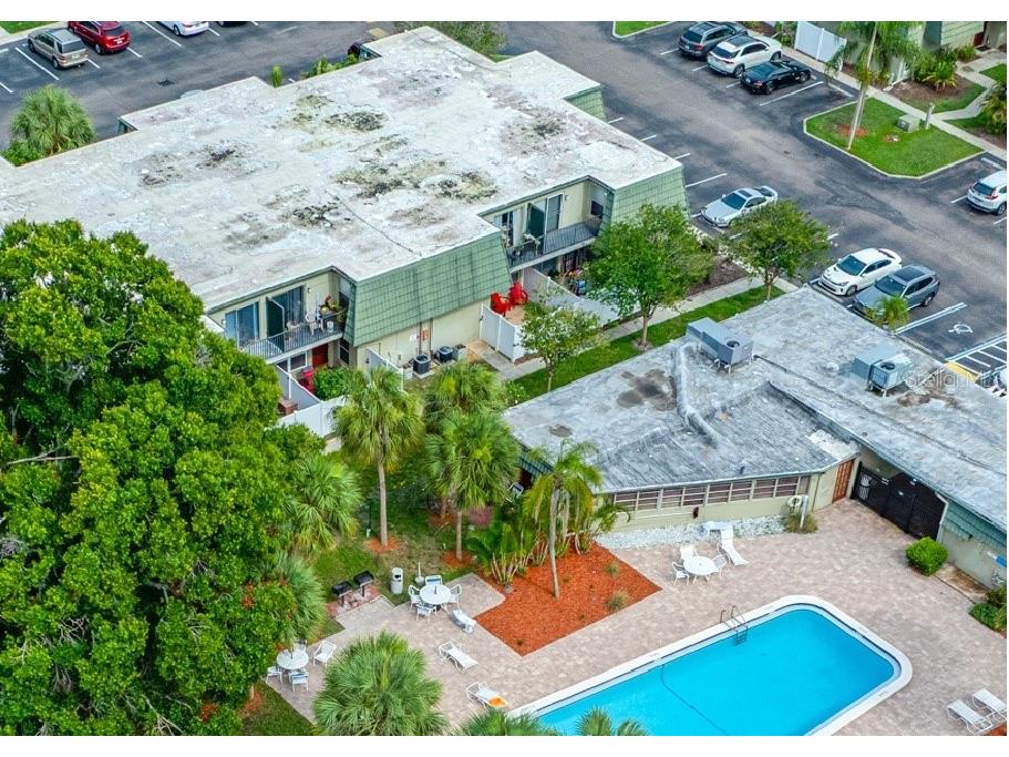 1799 N Highland Avenue #79 Clearwater FL 33755 TB8508022 image2