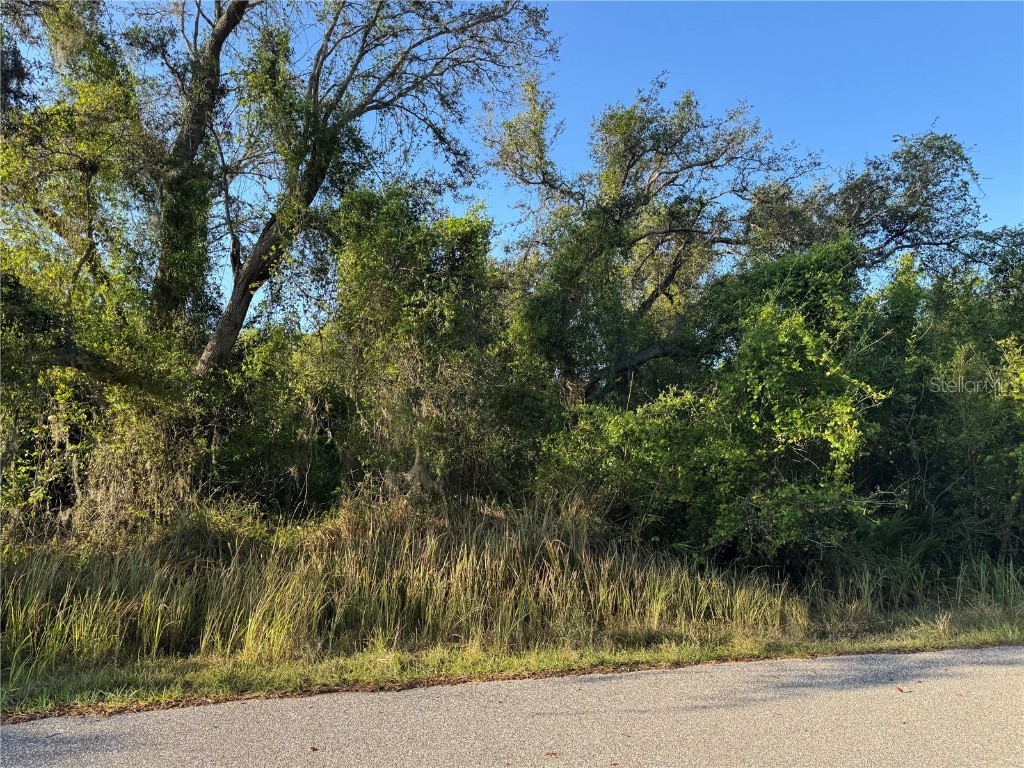 1799 NE Voss Oaks Circle Arcadia FL 34266 C7506895 image1