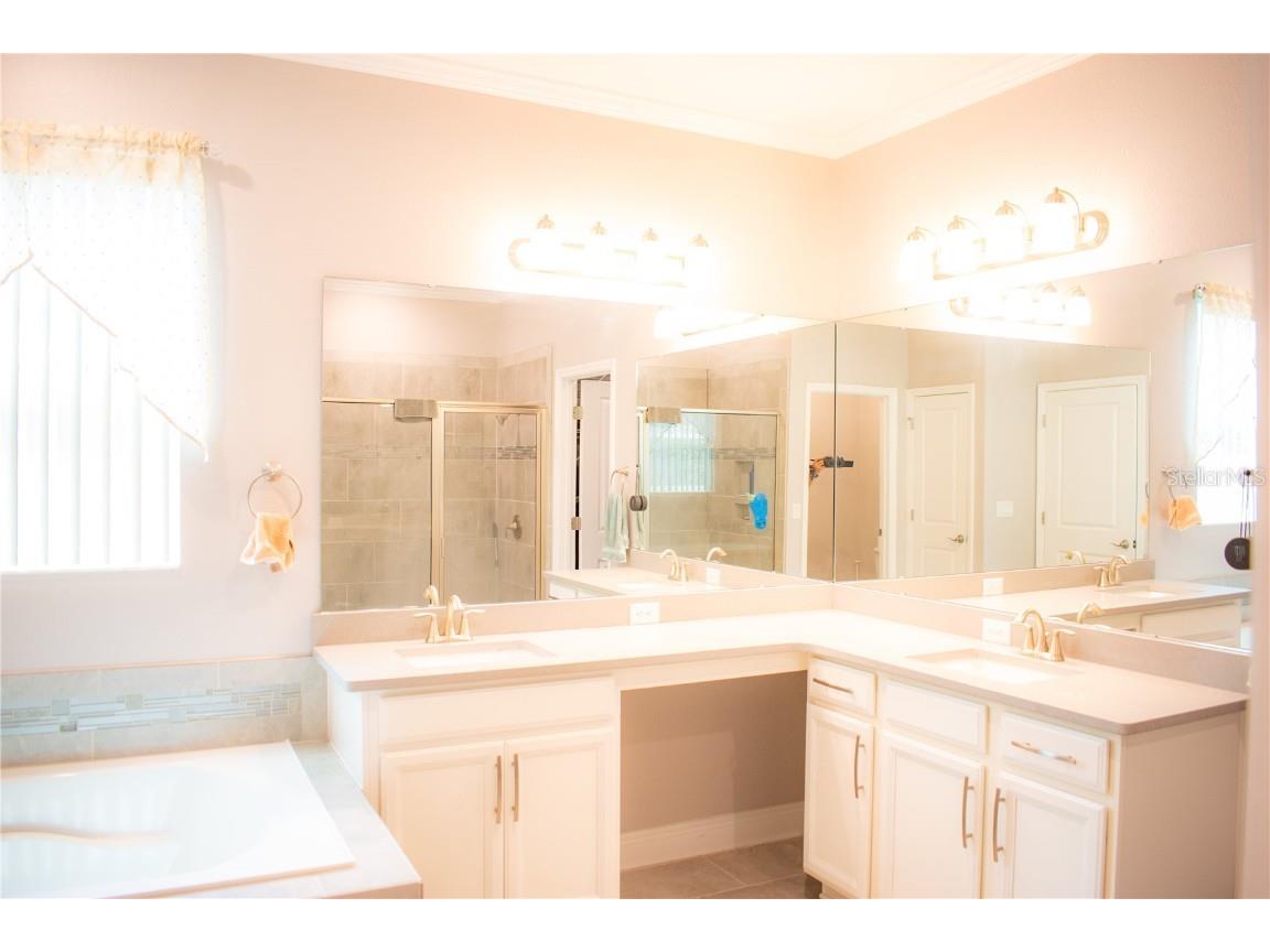 17993 Gourd Neck Loop Winter Garden FL 34787 O6335266 image13