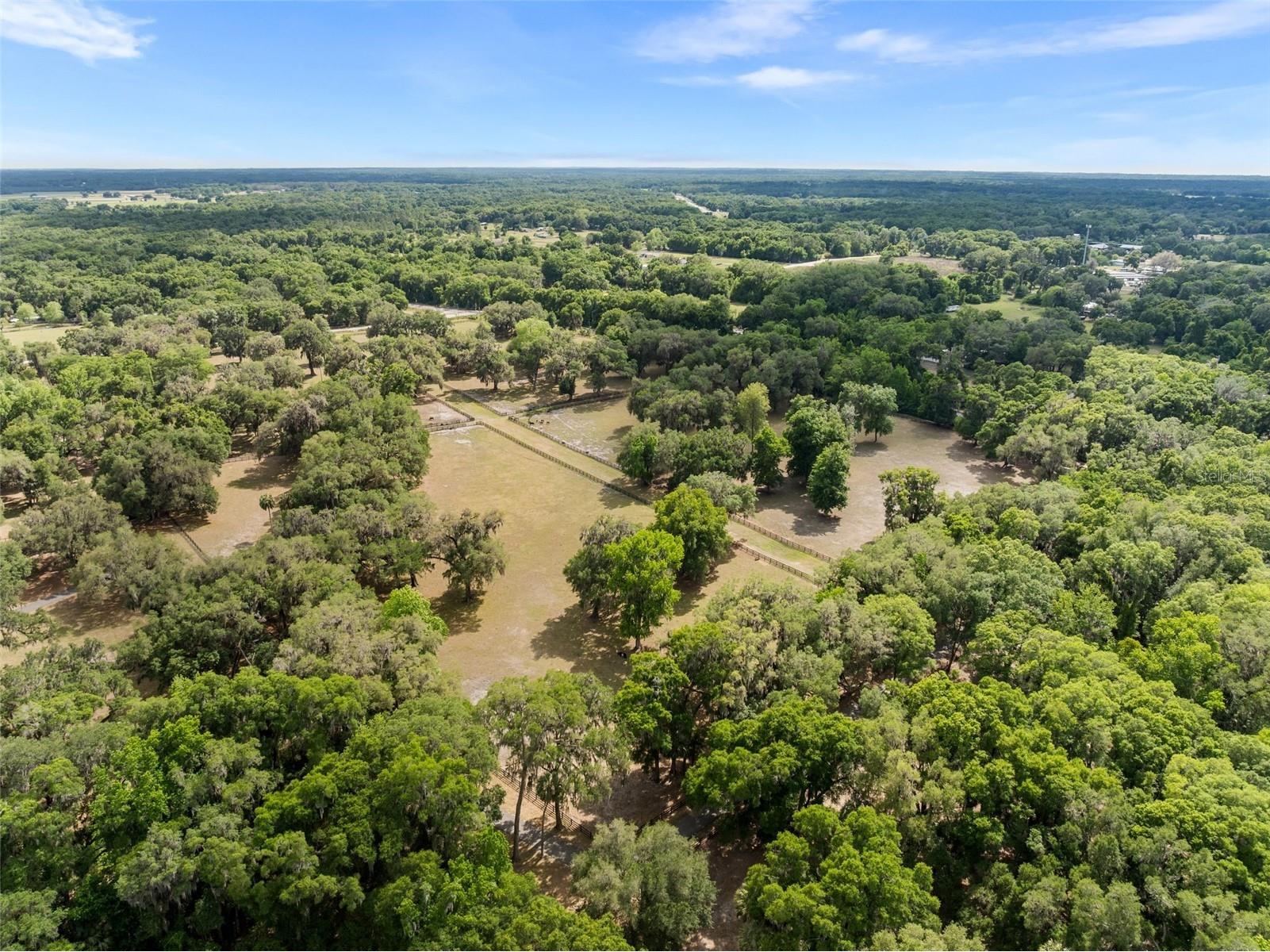 17995 NE 24th Terrace Citra FL 32113 OM723102 image49