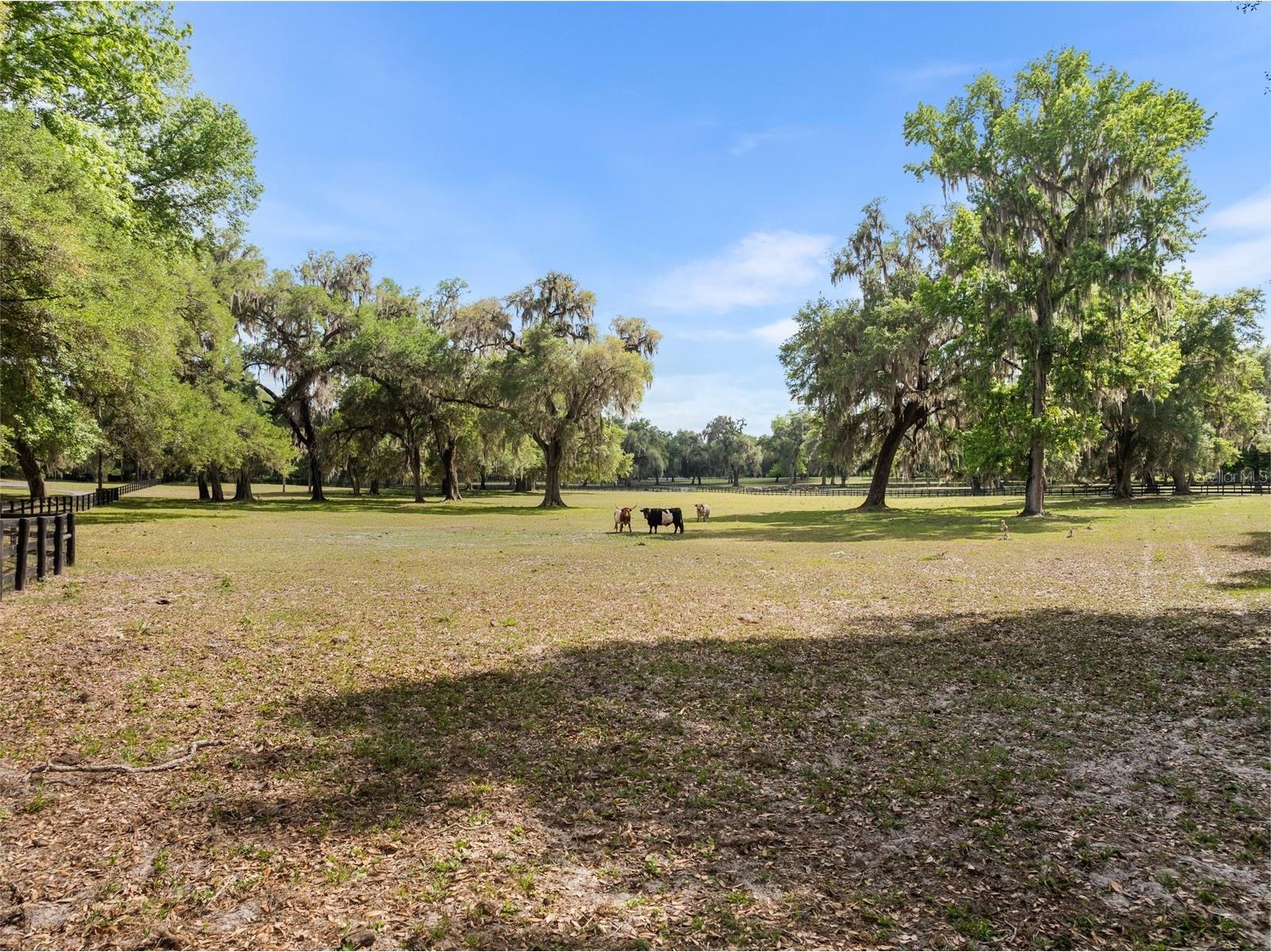17995 NE 24th Terrace Citra FL 32113 OM723102 image50