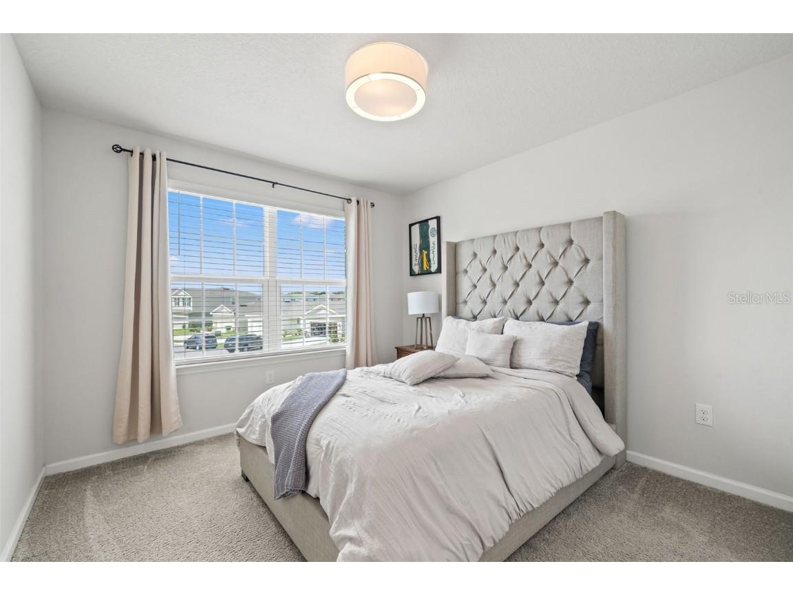 17997 Dairy Farm Court Land O Lakes FL 34638 TB8429913 image21