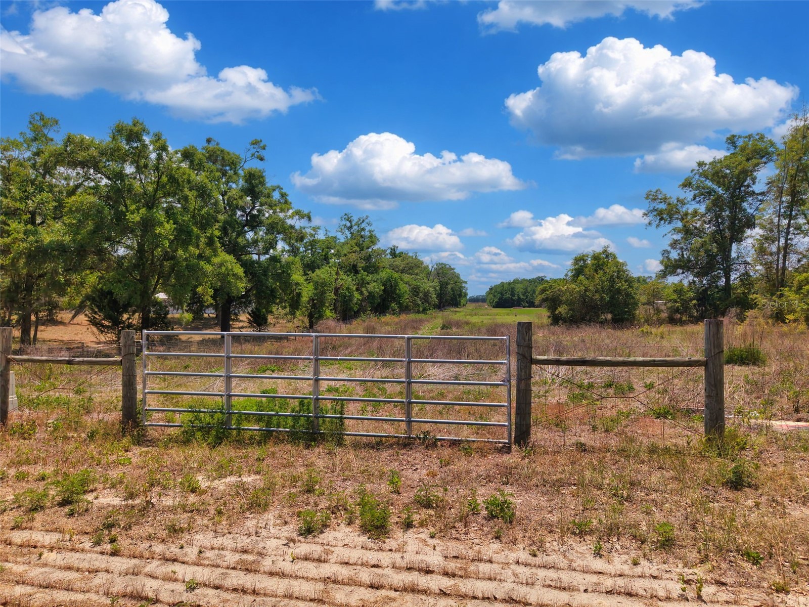 18 AC NW Cr 138 Branford FL 32008 GC539996 image18
