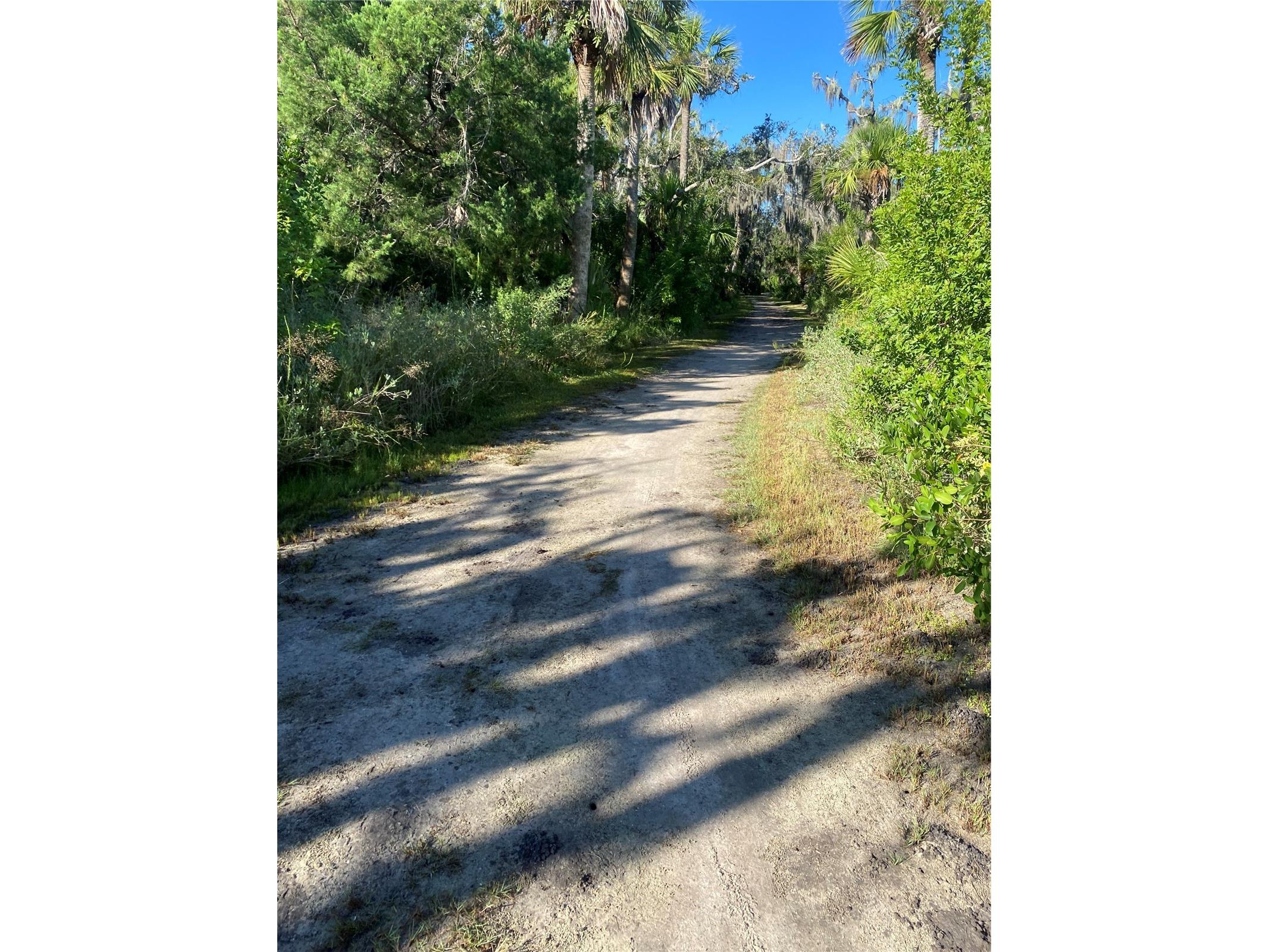 18 Cedar Dunes Drive New Smyrna Beach FL 32169 NS1088675 image32