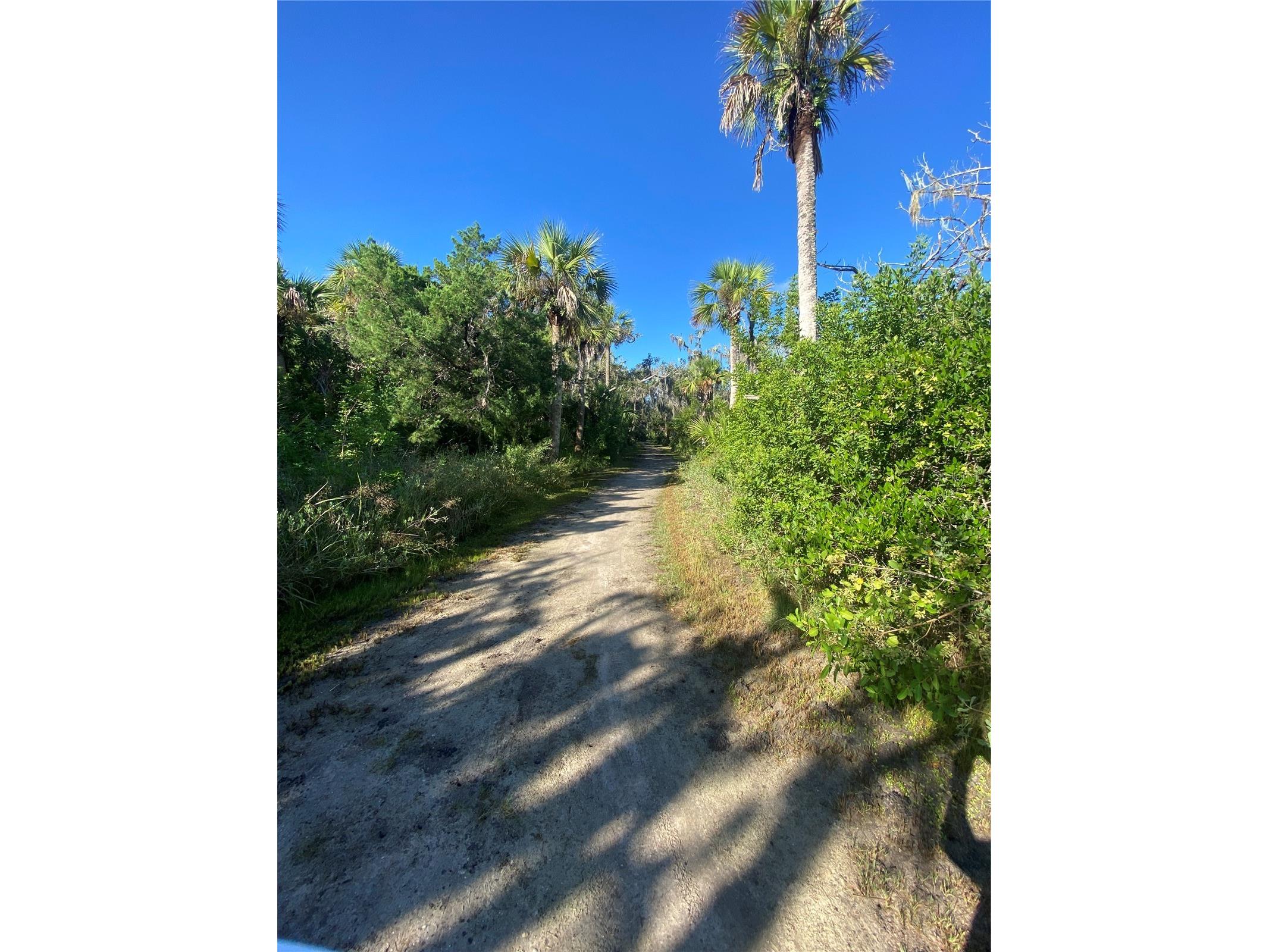 18 Cedar Dunes Drive New Smyrna Beach FL 32169 NS1088675 image33