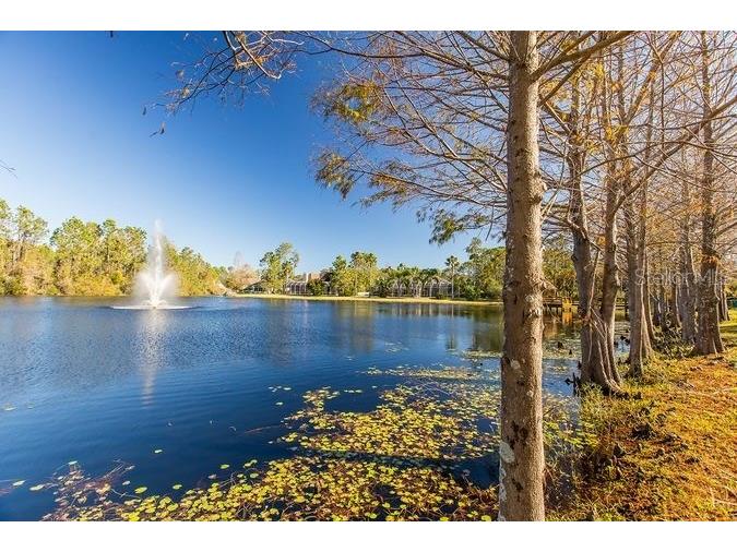 18 Foxfords Chase Ormond Beach FL 32174 FC315366 image73