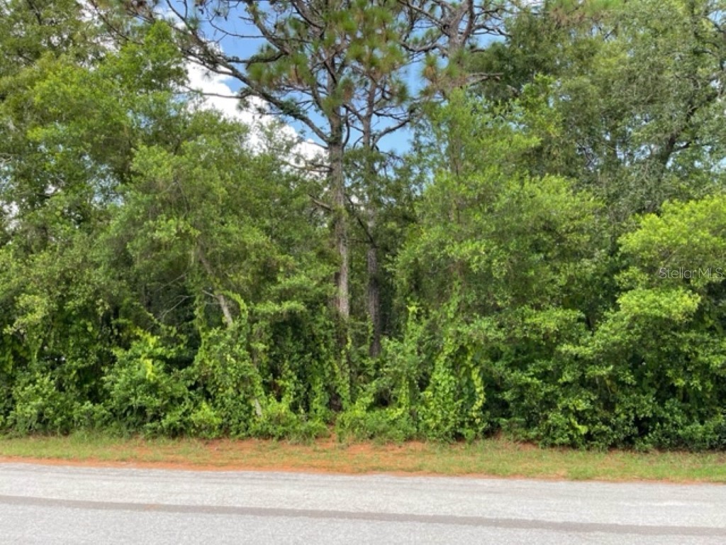18 Lemington Court Homosassa FL 34446 T3460908 image1