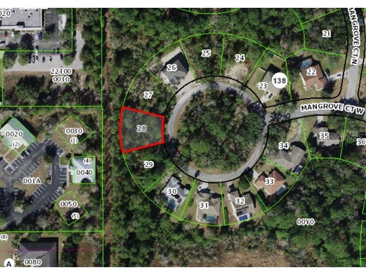 18 Mangrove Court W Homosassa FL 34446 TB8398376 image1