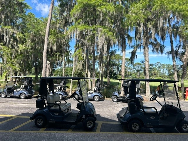 18 Mount Vernon Lane Palm Coast FL 32164 FC319431 image39