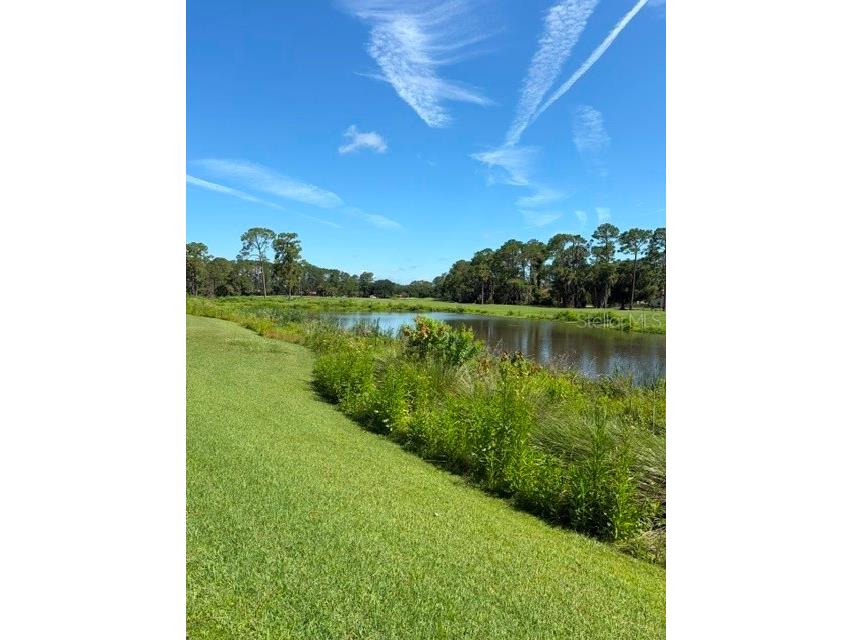18 Mount Vernon Lane Palm Coast FL 32164 FC319431 image40