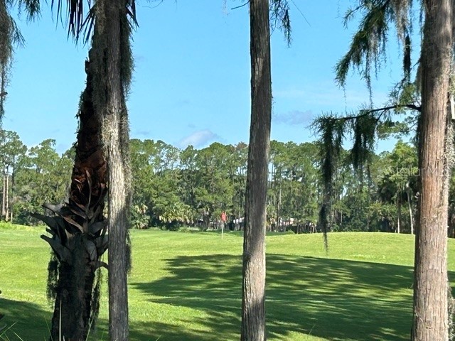 18 Mount Vernon Lane Palm Coast FL 32164 FC319431 image41