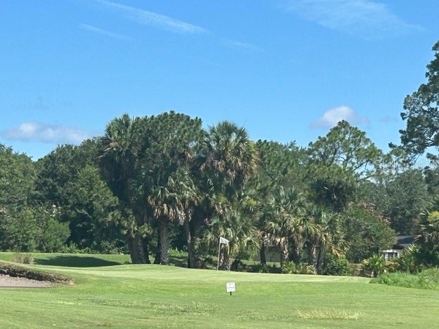 18 Mount Vernon Lane Palm Coast FL 32164 FC319431 image42