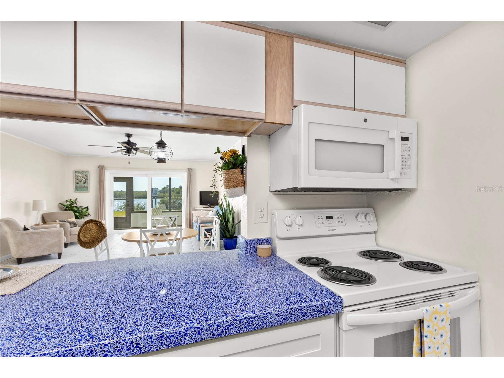 18 Ocean Palm Villa N #18 Flagler Beach FL 32136 FC315682 image8