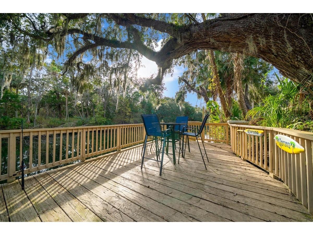 18 Palm Circle Drive Inglis FL 34449 - WITHLACOOCHIE RIVER OM716187 image32