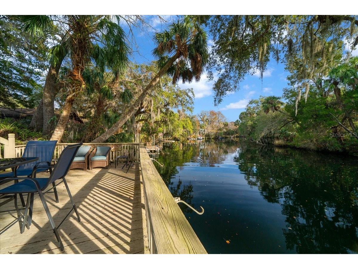 18 Palm Circle Drive Inglis FL 34449 - WITHLACOOCHIE RIVER OM716187 image33