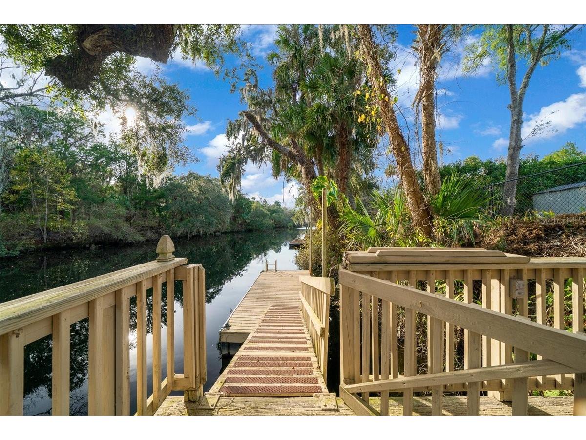 18 Palm Circle Drive Inglis FL 34449 - WITHLACOOCHIE RIVER OM716187 image34