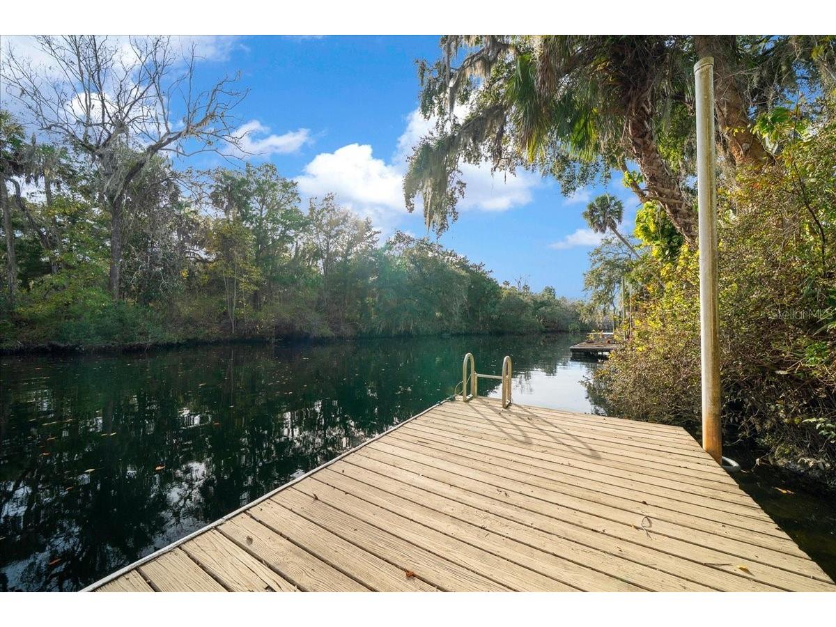 18 Palm Circle Drive Inglis FL 34449 - WITHLACOOCHIE RIVER OM716187 image35