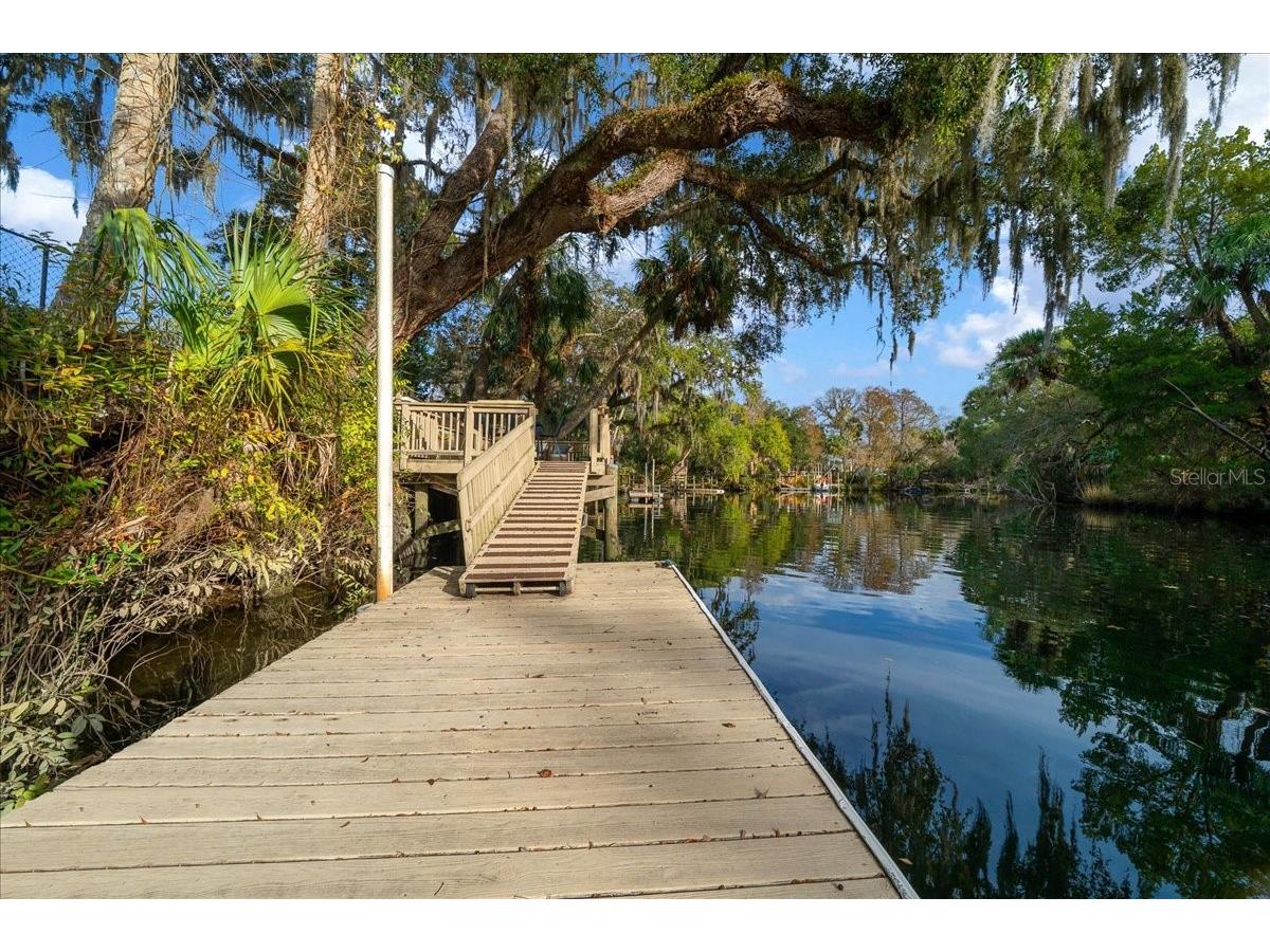 18 Palm Circle Drive Inglis FL 34449 - WITHLACOOCHIE RIVER OM716187 image36