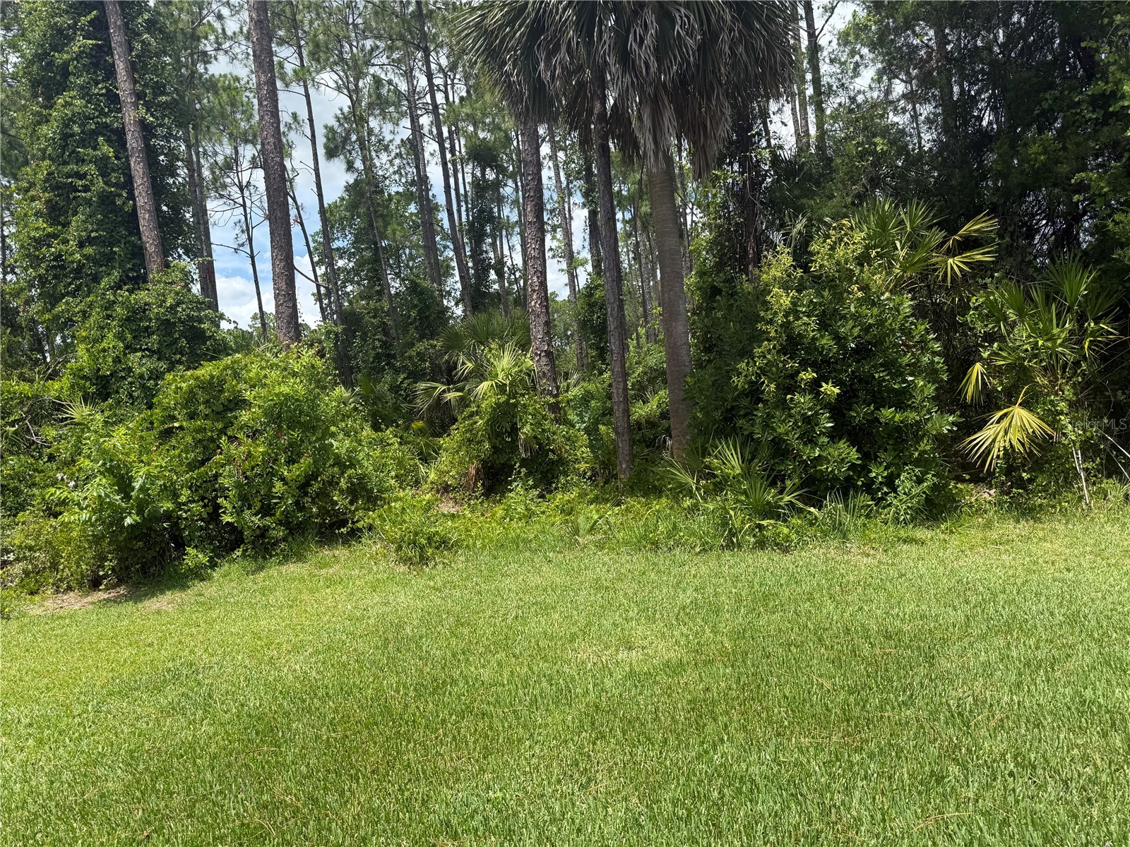18 Poinbury Drive Palm Coast FL 32164 FC319374 image20