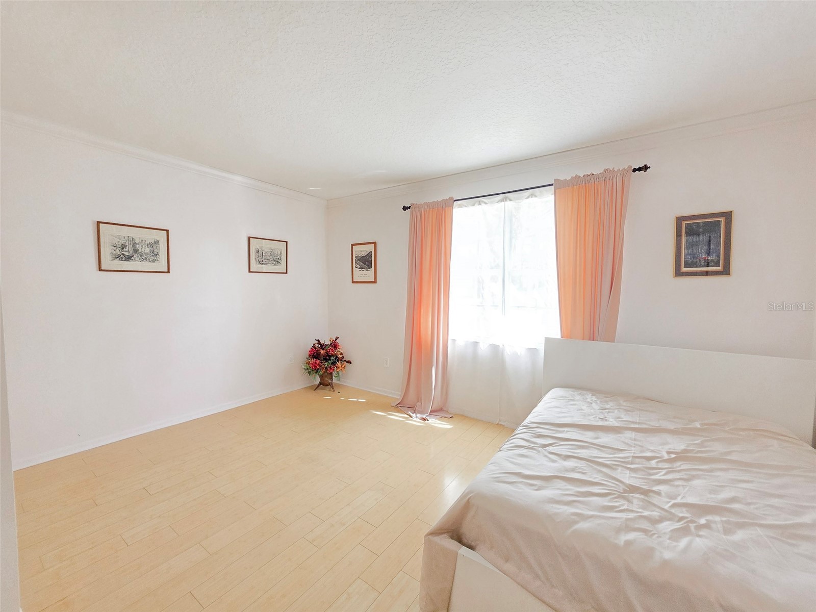 18 Price Lane Palm Coast FL 32164 FC316907 image44