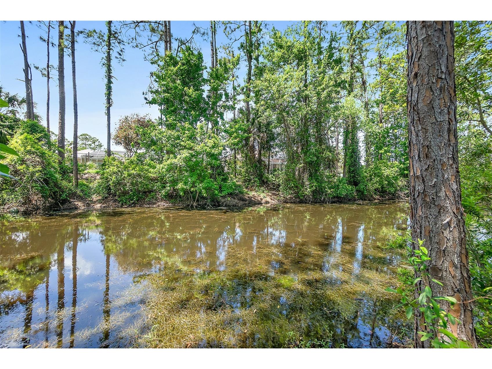 18 Reid Place Palm Coast FL 32164 FC317669 image44