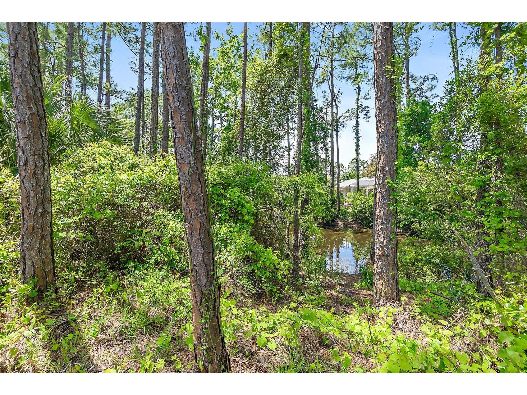 18 Reid Place Palm Coast FL 32164 FC317669 image46
