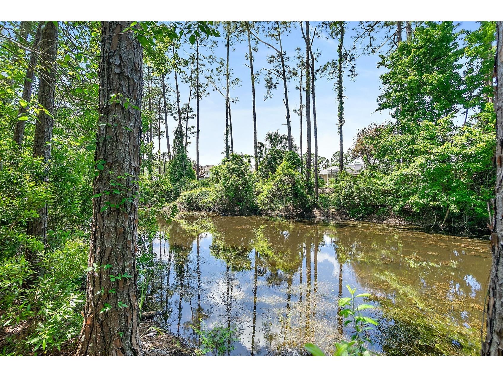 18 Reid Place Palm Coast FL 32164 FC317669 image5