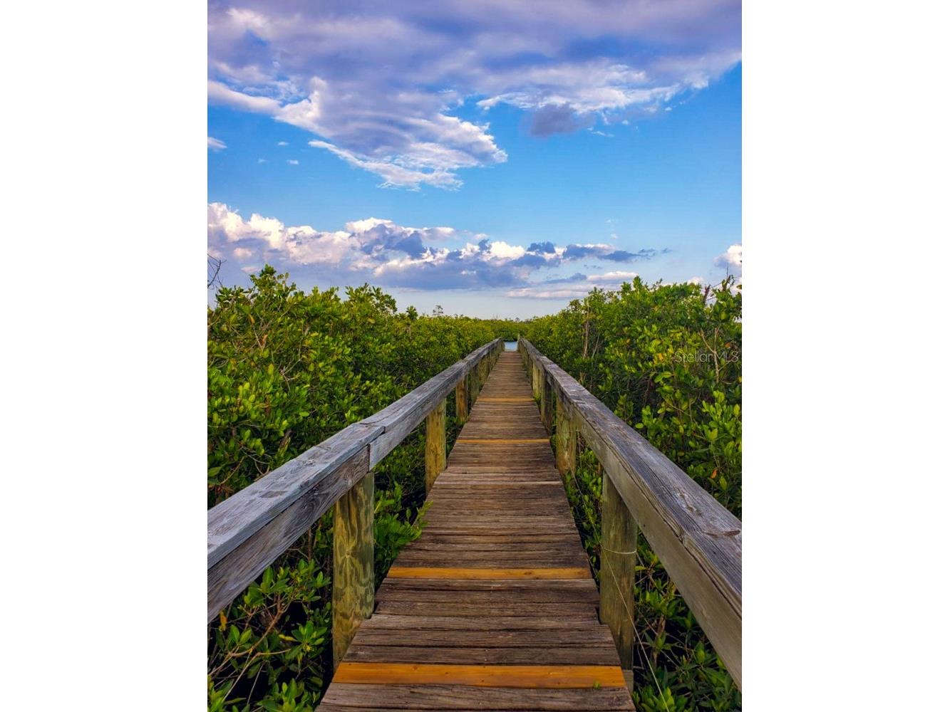 18 Riverfront Drive Venice FL 34293 - MYAKKA RIVER NS1088678 image45