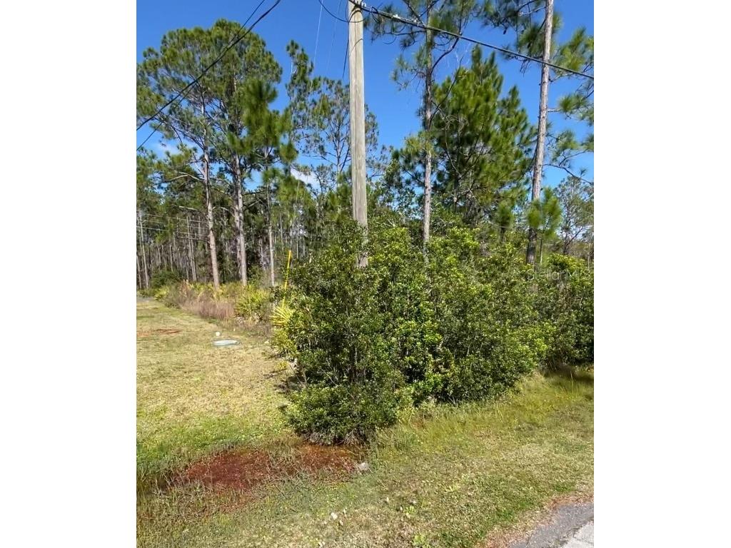 18 Slipper Orchid Trail E Palm Coast FL 32137 O6172307 image1